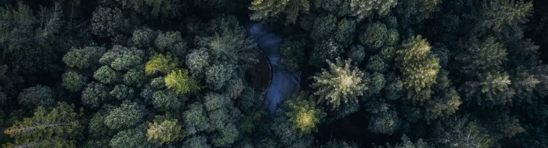 Europas markedsledende inkassobyrå