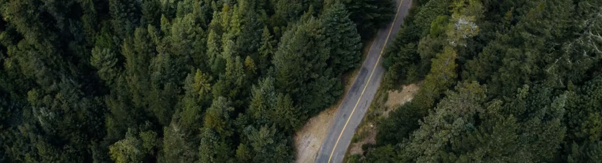 Lokal drift, global tilstedeværelse