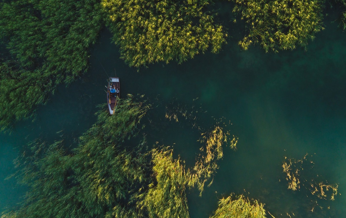 Bilde i fugleperspektiv av grønne trær og en båt i vannet, illustrerer Intrum jobber for bæredyktig utvikling.